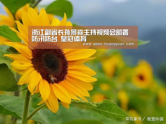 浙江副省长孙景淼主持视频会部署防汛防台_皇冠体育(图3) 皇冠体育下载